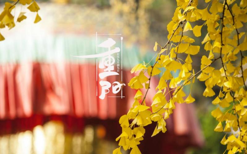 金秋送爽，心暖重陽(yáng)。祝您重陽(yáng)愉快，闔家歡樂，福壽安康！